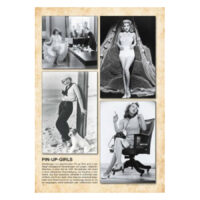 Pin-UP Girls Volume 2