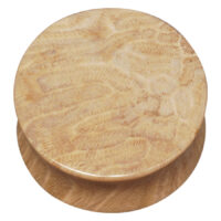 Brain Coral Plug