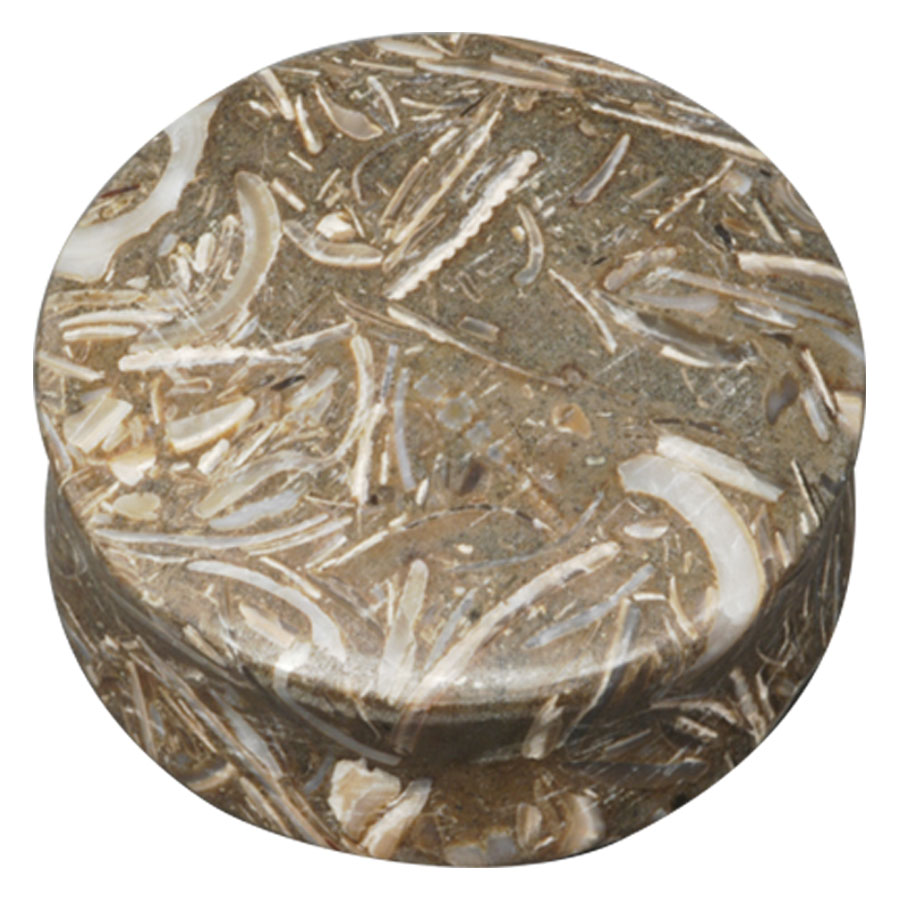 Fossilized Seagrass Plug