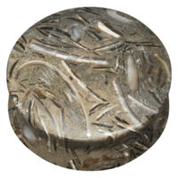 Fossilized Seagrass Plug
