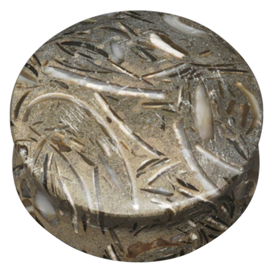 Fossilized Seagrass Plug