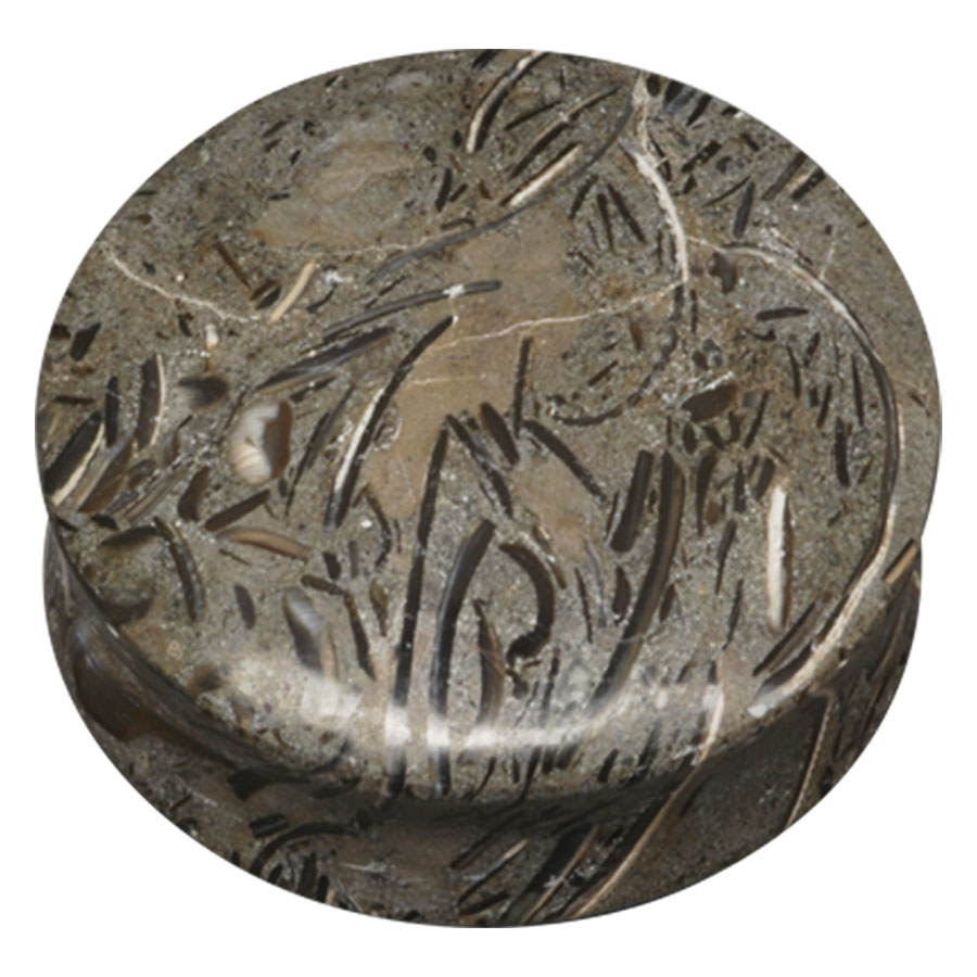 Fossilized Seagrass Plug