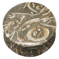Fossilized Seagrass Plug