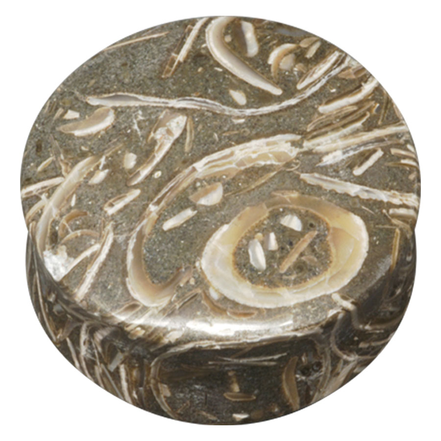 Fossilized Seagrass Plug