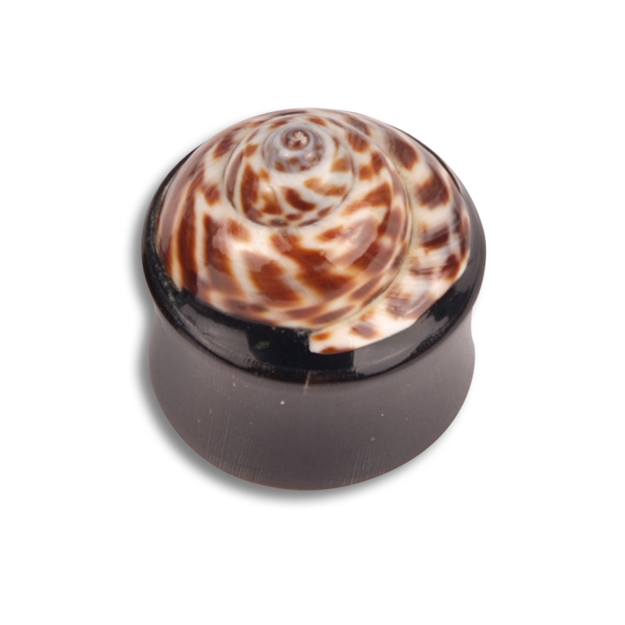 Shell Buffalo Horn Brown