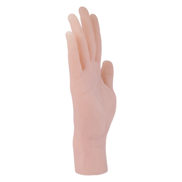 Mano de silicona beige en posición vertical sobre fondo blanco