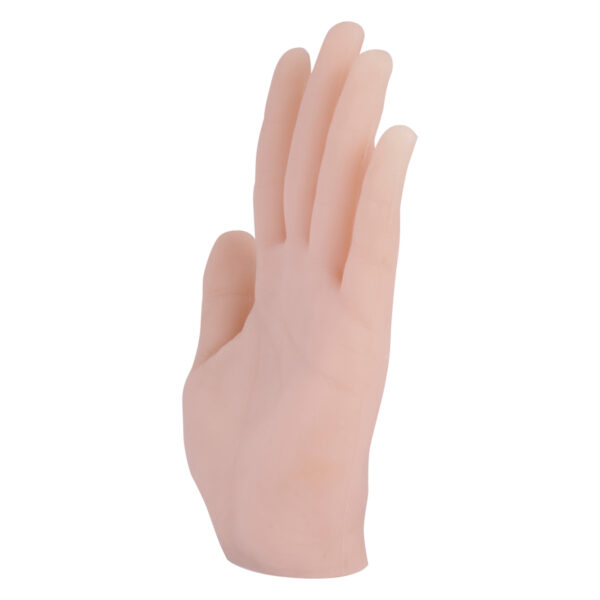 Mano de silicona beige para prácticas de tatuaje, de pie sobre fondo blanco