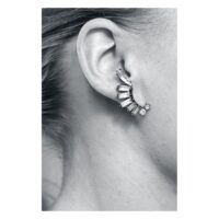 Crystal Statement Earrings
