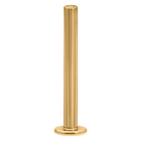 Labret Pushfit dorado, 7,0 mm de largo, sobre fondo blanco