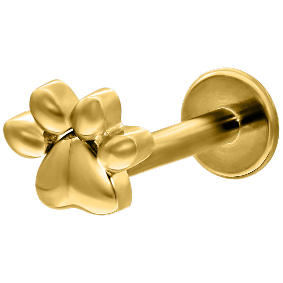 Labret dorado con motivo de pata sobre fondo blanco, 6mm de longitud