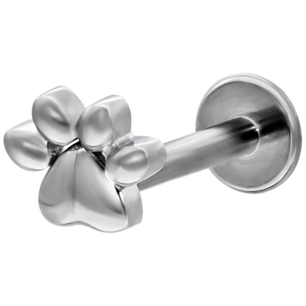 Labret de oro blanco con motivo de pata y cierre push-fit sobre fondo blanco