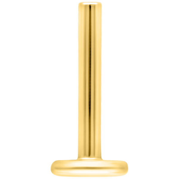 Labret de titanio dorado con 1,2 mm de grosor y 5,0 mm de longitud sobre fondo blanco