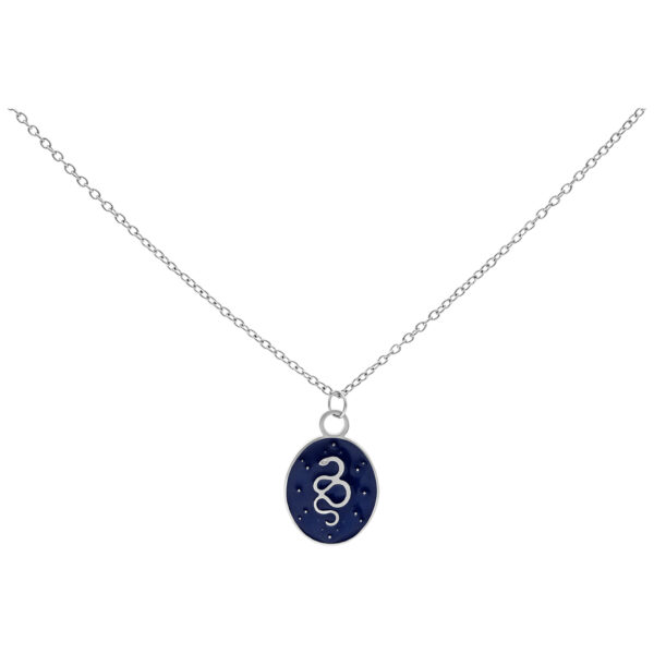 Cadena de plata con colgante ovalado y motivo de serpiente sobre fondo azul oscuro