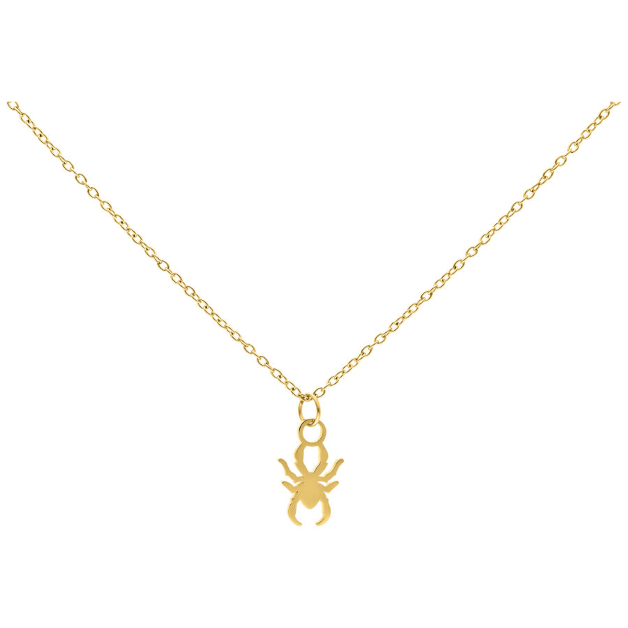 Cadena dorada con colgante de araña pequeña sobre fondo blanco