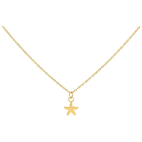 Cadena dorada con colgante de estrella de mar pequeña, fondo de estudio