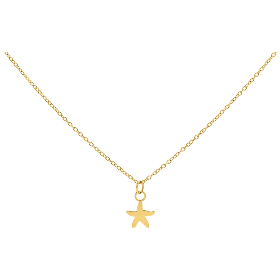 Cadena dorada con colgante de estrella de mar pequeña, fondo de estudio