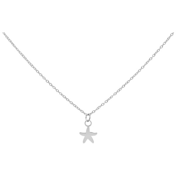 Collar plateado con colgante de pequeño estrella de mar sobre fondo blanco