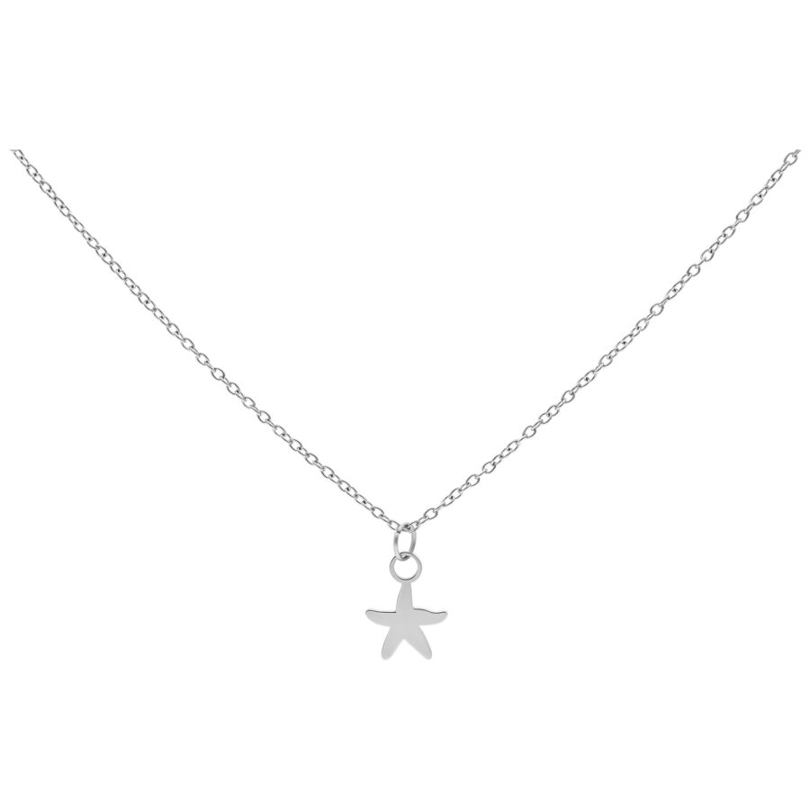 Collar plateado con colgante de pequeño estrella de mar sobre fondo blanco