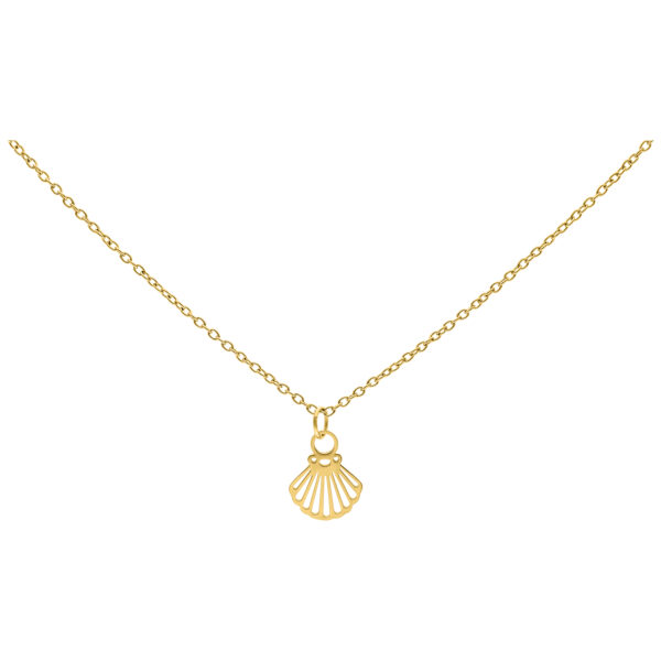 Collar dorado con colgante de concha sobre fondo blanco