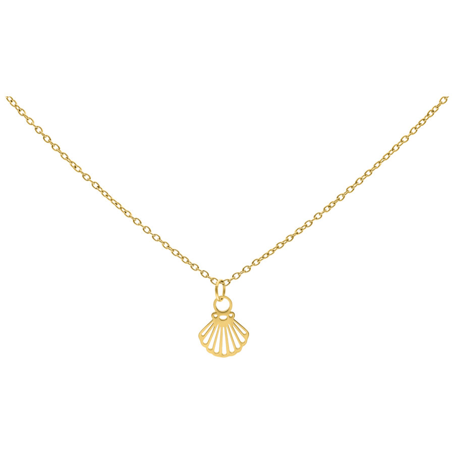 Collar dorado con colgante de concha sobre fondo blanco