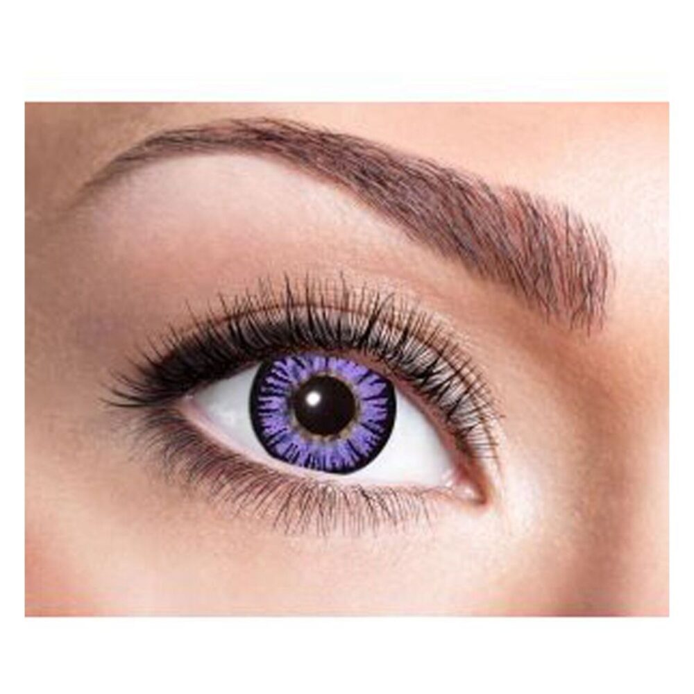 Big Eye Purple