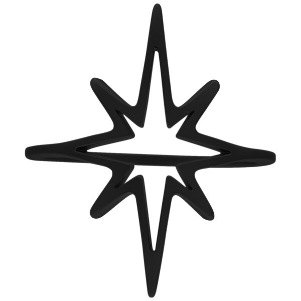 Anillo Polar Star negro de acero quirúrgico, tamaño 17 mm, sobre fondo blanco