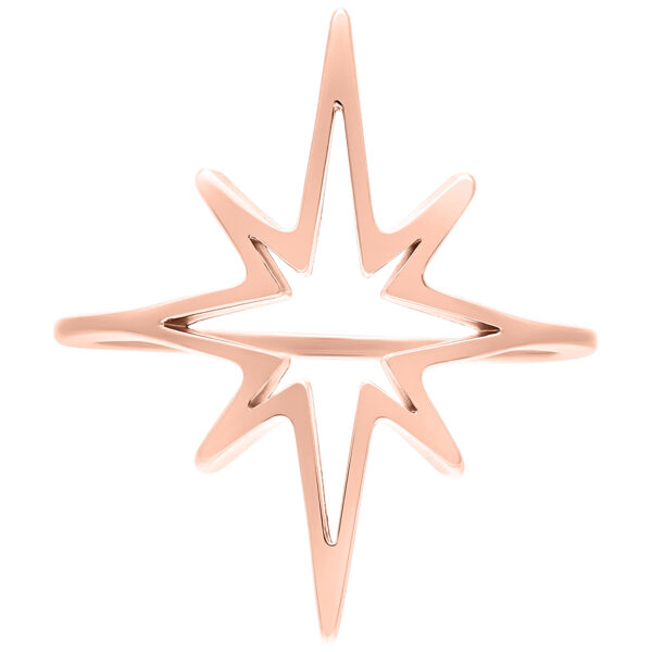 Anillo Polar Star en oro rosa sobre fondo blanco, tamaño de anillo 17 mm
