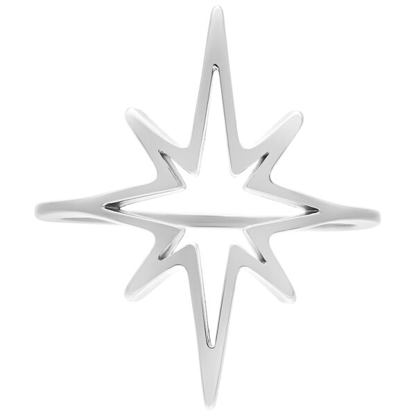 Anillo Polar Star plateado de 17,0 mm sobre fondo blanco