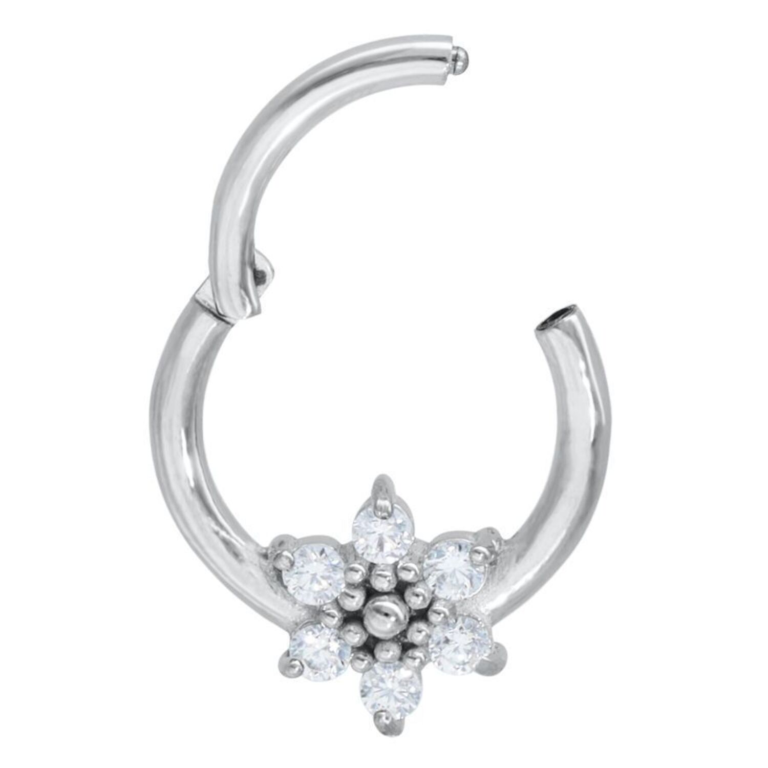 Ice Flower Ice Flower