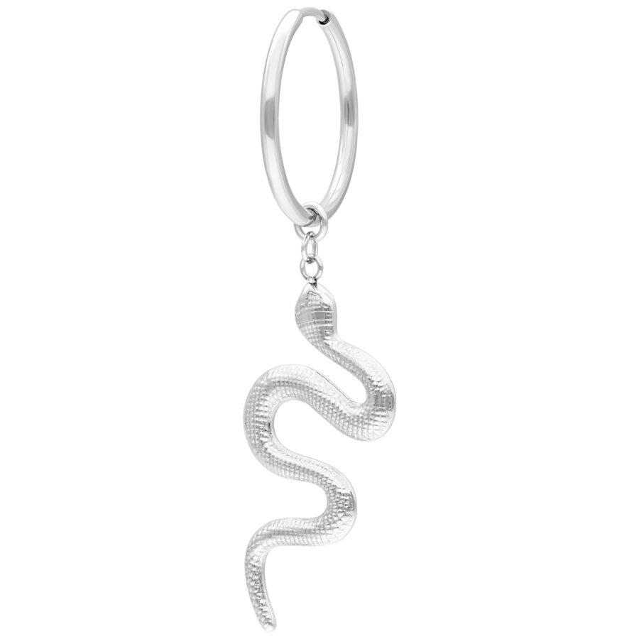 Pendiente plateado con colgante de serpiente sobre fondo blanco