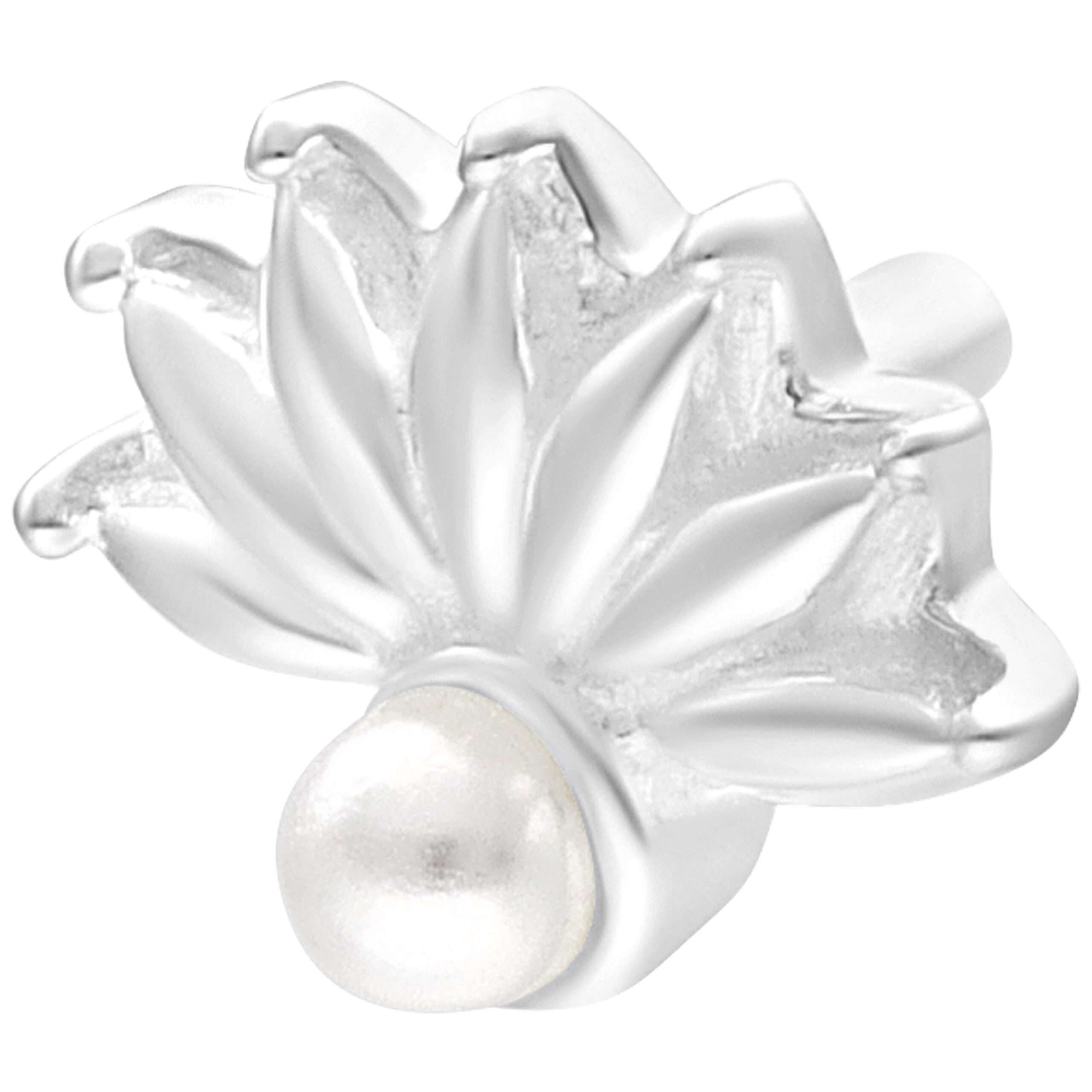 Push Fit Crystal Peacock Attachment Push Fit Crystal Peacock Attachment