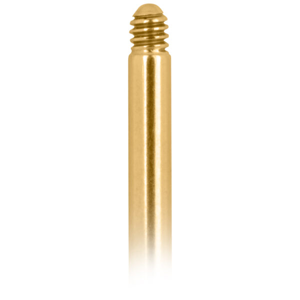Labret dorado de titanio con rosca externa sobre fondo blanco