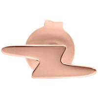 Flash Ohrstecker in Roségold Roségoldener Flash Ohrstecker aus Chirurgenstahl vor weißem Hintergrund