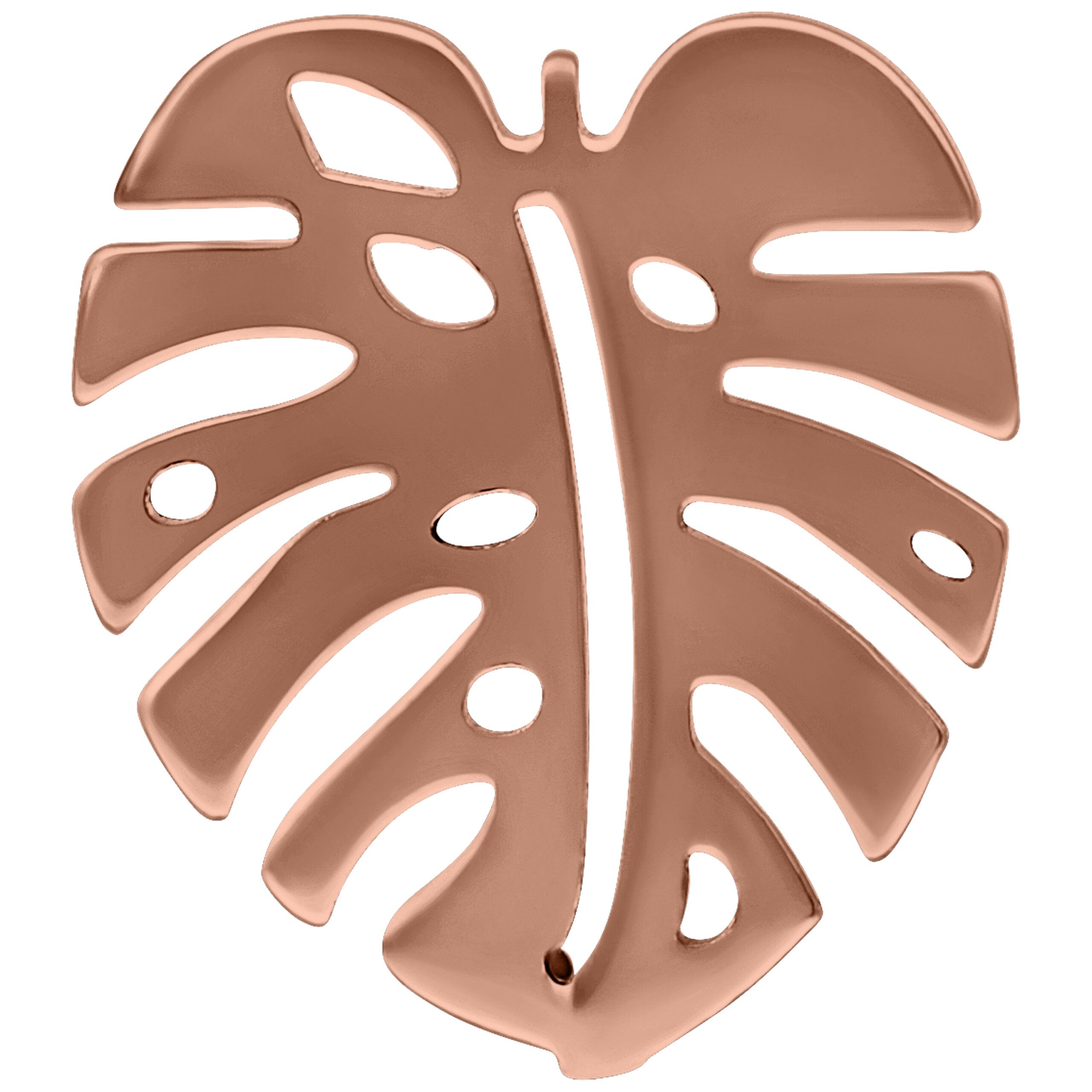 Roségoldene Monstera Ohrstecker aus Titan Roségoldener Ohrstecker in Form eines Monstera-Blattes auf weißem Hintergrund