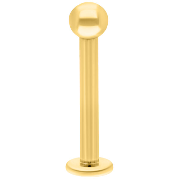 Labret de titan dorado con rosca interna sobre fondo blanco, longitud de 8mm