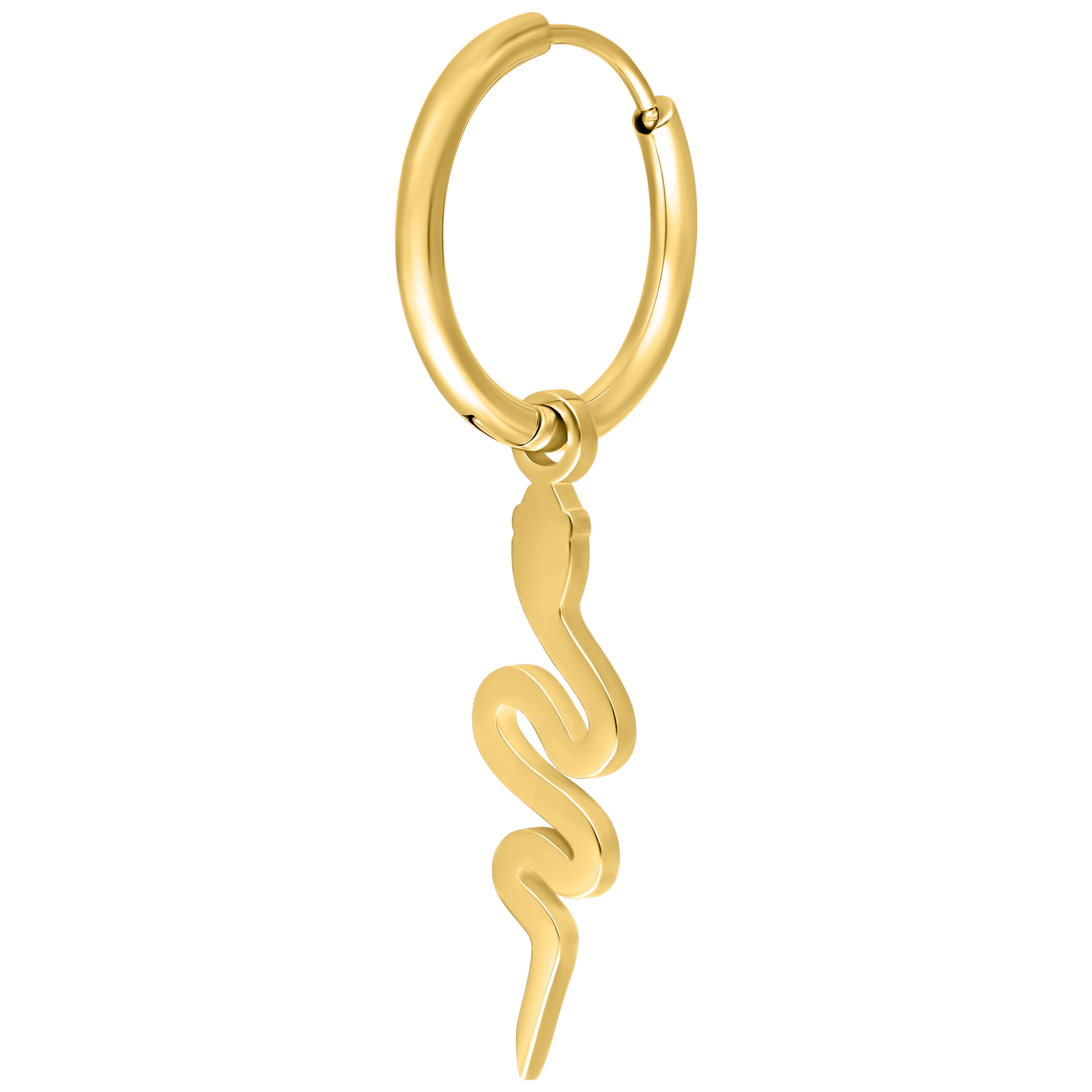 Aro dorado con colgante en forma de serpiente sobre fondo blanco