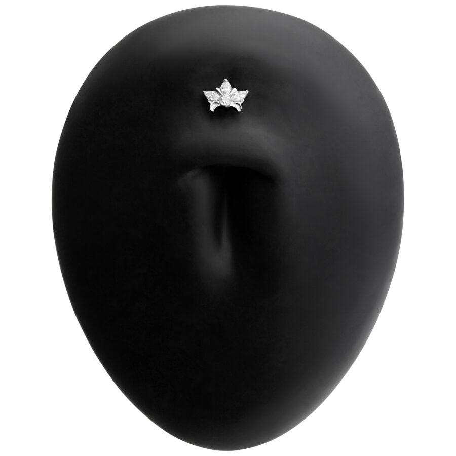 Labret de titanio negro con diseño de hoja plateada sobre fondo negro