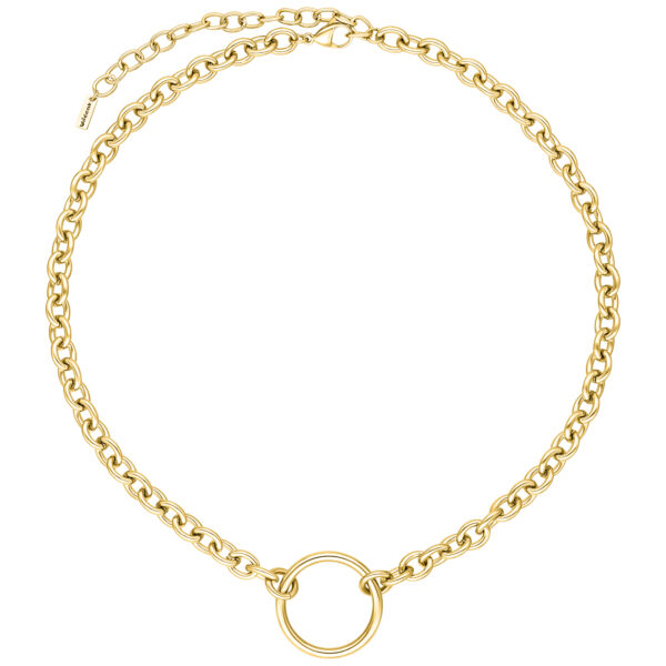 Collar O dorado de acero quirúrgico 316L sobre fondo blanco