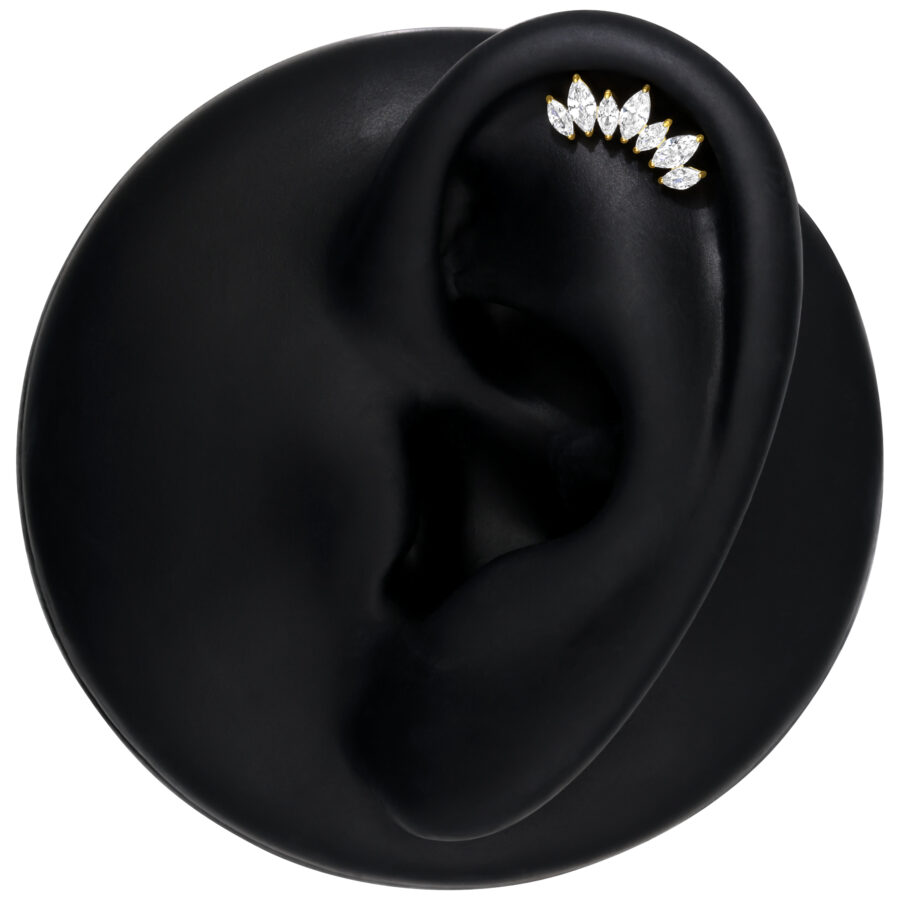 Ajuste de titanio dorado con cristales claros en modelo de oreja negra