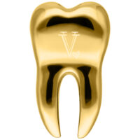 Peso para oreja dorado en forma de diente con logo de Verena Venus sobre fondo blanco