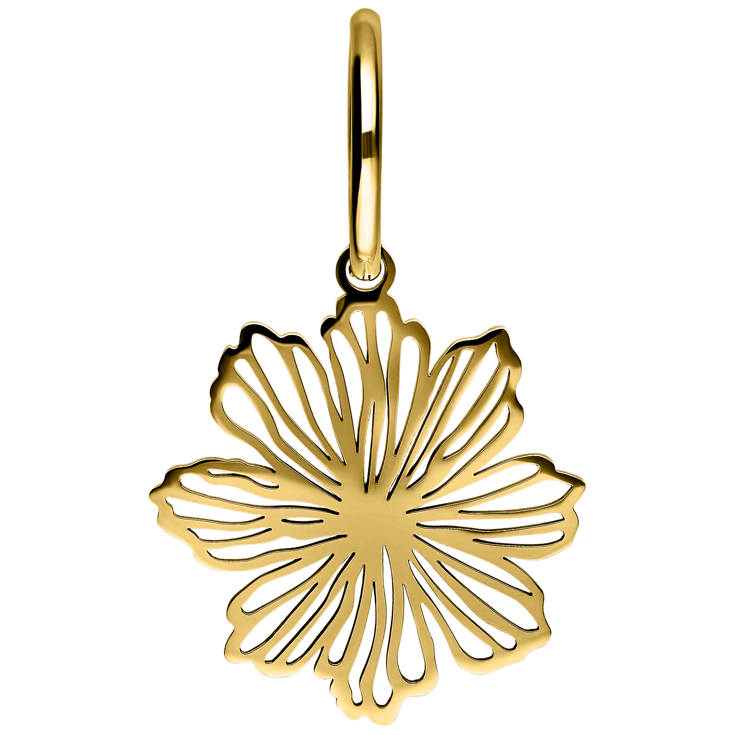 Aros Fine Flower dorados de acero quirúrgico Aro dorado en forma de flor de acero quirúrgico sobre fondo blanco