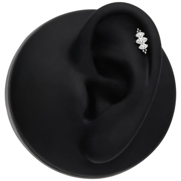 Cristal plateado en modelo de oreja negra sobre fondo blanco