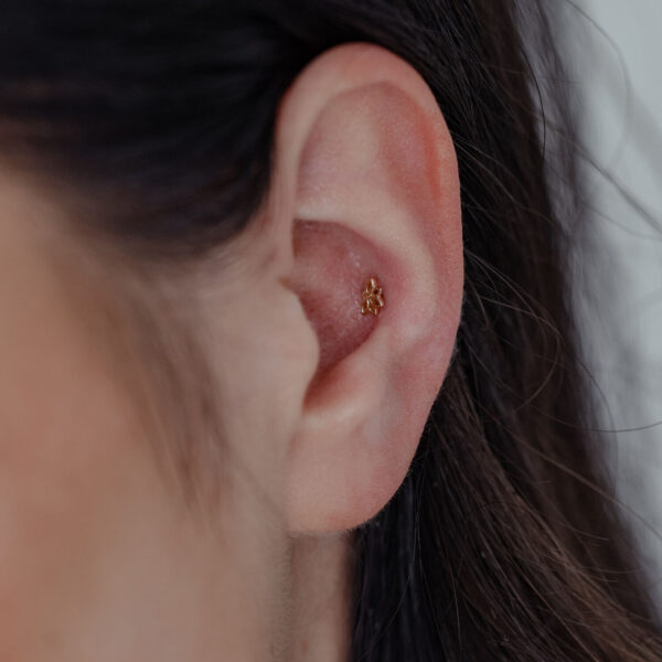 Accesorio Lotus dorado de 14K Gold en la oreja sobre fondo neutro