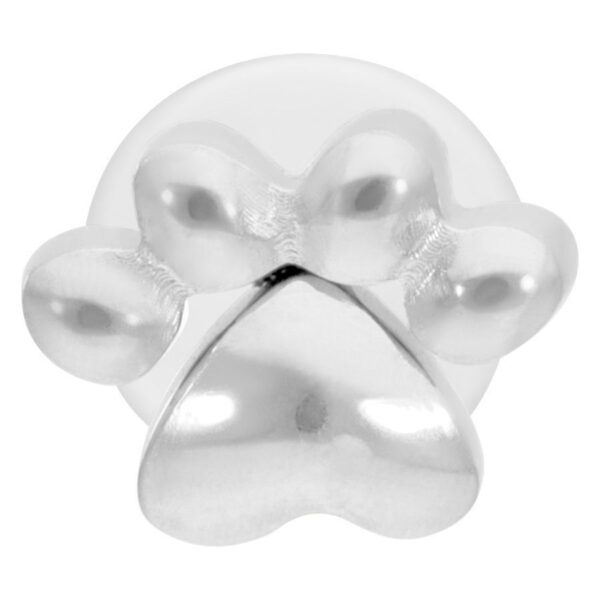 Labret plateado con motivo de huella de pata sobre fondo blanco