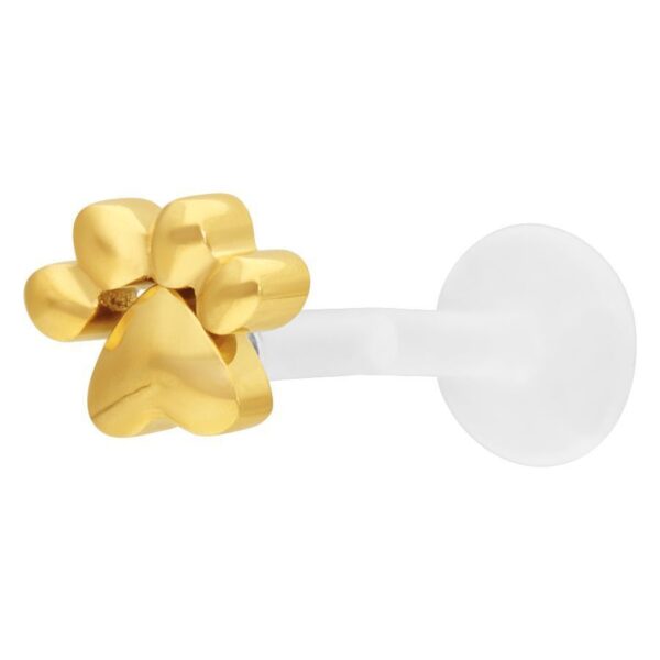 Piercing labret dorado con diseño de pata sobre fondo blanco