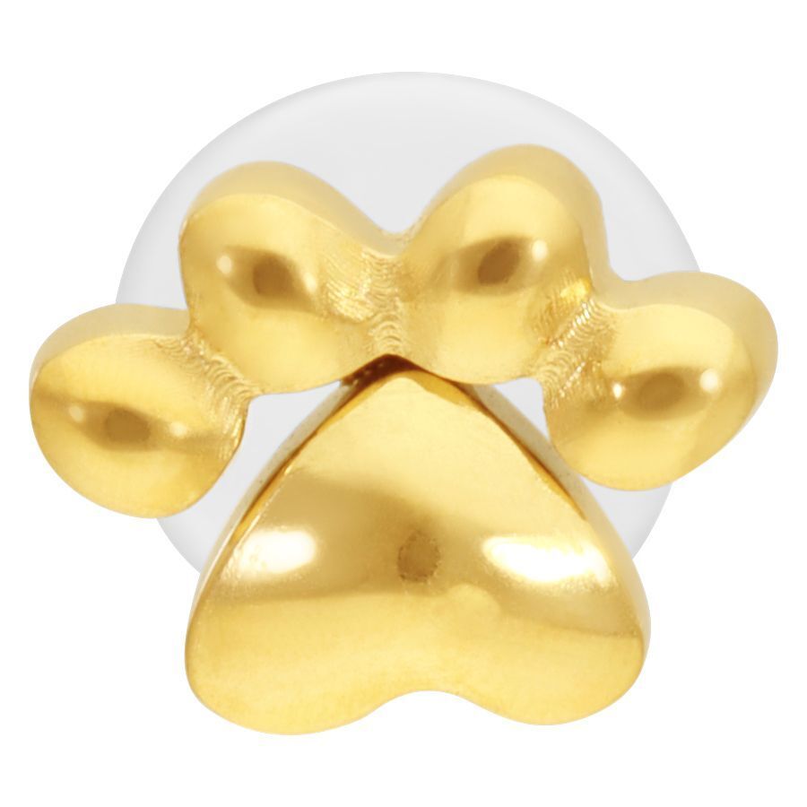 Golden Labret con diseño de patita Labret dorado con diseño de patita sobre fondo blanco