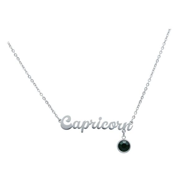 Collar plateado con inscripción de Capricornio y colgante negro sobre fondo blanco