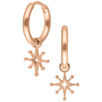 Roségold Ohrringe mit Polarstern-Anhängern auf weißem Hintergrund