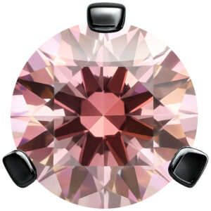 Accesorio con Montura de Garra para Labret Push-Fit