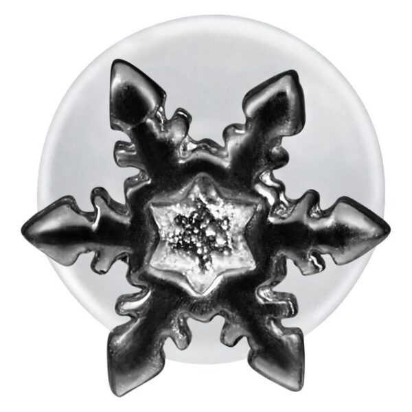 Labret de copo de nieve negro con Push-Fit sobre fondo blanco